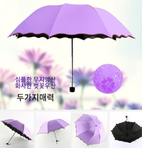 우산 양우산 양산 꽃무늬 우산 암막 자외선 차단 미니 예쁜 고급